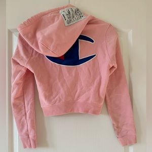 Vetements x 
Champion Reverse Weave Hoodie S in Pink Season (SS) 17